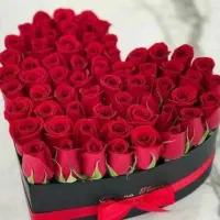 پرستارکودک و مادریار