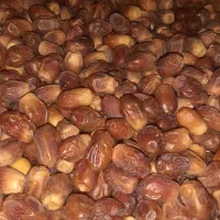قصب،خرمای زاهدی