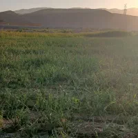 فروش زمین کشاورزی