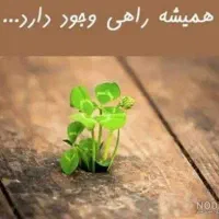 ادمین پیج پوست