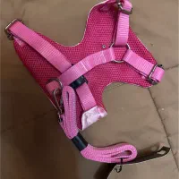 قلاده سگ|لوازم جانبی حیوانات|رشت, استادسرا|دیوار