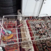 گهواره تمیز قیمت ۱۱۰۰|کالسکه و لوازم جانبی|اهواز, بعثت|دیوار