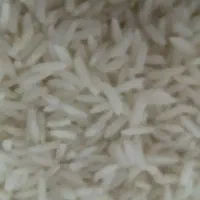 برنجهاشیمی درجه یک درشت