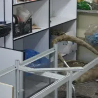 ویترین mdf|کتابخانه، شلف، قفسههای دیواری|خرمآباد, |دیوار