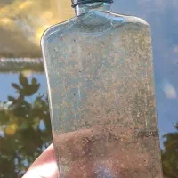 دافنی ماگنا|ماهی|اصفهان, ناژوان|دیوار