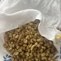 توت خشک