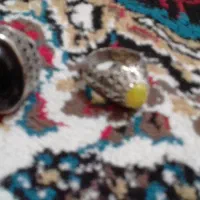 دو عدد انگشتر زینتی|بدلیجات|پرند, فاز ۶|دیوار