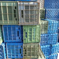 سبد پرتقال ونارنگی|حراج|ساری, |دیوار