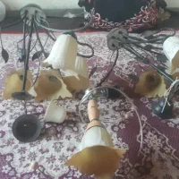 لوستر حبابی