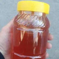 عسل کوهی قره داغ|خوردنی و آشامیدنی|تبریز, |دیوار