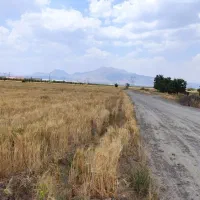 زمین-کشاورزی-فروشی