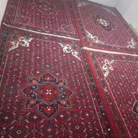 قالی کوردی حسین اباد|گلیم، جاجیم، گبه|کرمانشاه, |دیوار