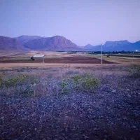 یونجه تمیز عالی