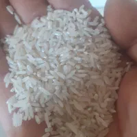 برنج هاشمی اصل دره رود اعلا|خوردنی و آشامیدنی|گرمی, |دیوار