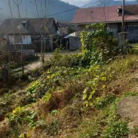 فروش زمین|فروش زمین و ملک کلنگی|اطاقور, |دیوار