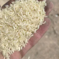 برنج چمپا وعنبر بو|خوردنی و آشامیدنی|بروجن, |دیوار