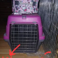 لوازم خرگوش پارک سگ، باکس حمل ،تشک ،سینی ،موزاییک