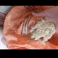 کاه خورده گندم