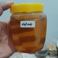عسل خوب ( نیمه تغذیه)
