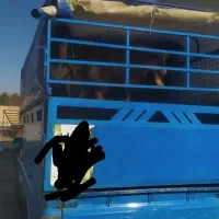 حمل گوسفند نیسان دوطبقه|خدمات حمل و نقل|نهاوند, |دیوار