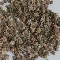 بذر لبو بیجو 900