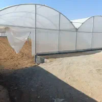 فروش یک واحد گلخانه نیمه صنعتی|فروش زمین و ملک کلنگی|دورود, |دیوار