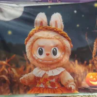 روبالشتی کودک ونوجوان|رختخواب، بالش، پتو|بیرجند, |دیوار