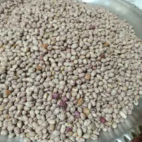 لوبیا چیتی درجه یک|خوردنی و آشامیدنی|قره چای, |دیوار