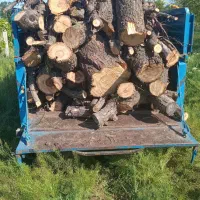 خرید انواع درخت به قیمت روز|خدمات باغبانی و درختکاری|انزل, |دیوار