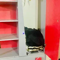 کمد نوجوان|میز و صندلی غذاخوری|ساری, |دیوار