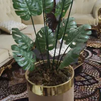 گل برگ انجیری مصنوعی