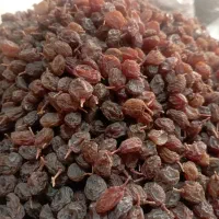 کشمش بیدانه افتابی پاک شده و درشت|خوردنی و آشامیدنی|اقبالیه, |دیوار