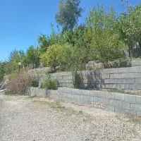 باغ با استخر و خانه در ملوان خفر|فروش خانه و ویلا|خفر, |دیوار