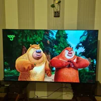 عمده و پخش انواع محافظ صفحه تلویزیون|تلویزیون و پروژکتور|تهران, حکیمیه|دیوار