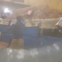 شبانه روزی خدمت شما عزیزان|حیوانات مزرعه|کرج, خرمدشت|دیوار