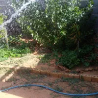 فروش اسکلت نوساز ویلایی یک طبقه دوخواب|فروش خانه و ویلا|شیراز, شهرک قمشه|دیوار