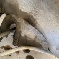 پرایدصنوقدار۱۳۱