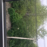 اپارتمان نمک ابرود|اجارهٔ آپارتمان|چالوس, |دیوار