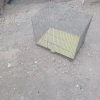 قفس پرنده