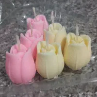 گل شمع وربانی