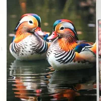 تابلو زینتی|تابلو، نقاشی، عکس|مشهد, هفت تیر (حافظ)|دیوار