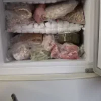 یخچال دو دره