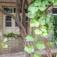 ویلایی-داخل-شهر