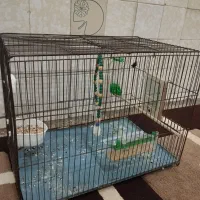 قفس بزرگ پرنده