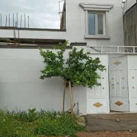 رهن-منزل-ویلایی-جانبازان