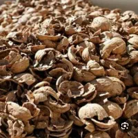 پوست گردو و بادام الرام