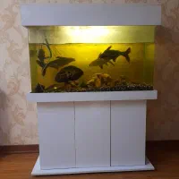 آکواریوم ۱ متری|ماهی|تهران, شهرک چیتگر|دیوار