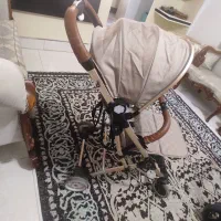کالسکه چمدانی مایلر