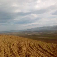 زمین-نبش-10در10-در-ایثارگران