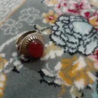 بدلیجات|بدلیجات|کرمانشاه, |دیوار